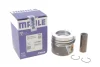 <strong>Поршень двигуна MAHLE 028 PI 00100 001 (фото 2)</strong>