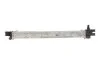 <strong>Інтеркулер MAHLE CI664000P (фото 3)</strong>