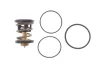 <strong>Термостат MAHLE TX 496 91D (фото 1)</strong>