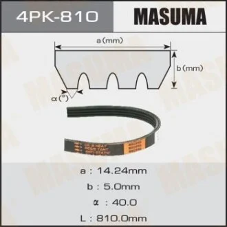 Ремінь поліклінової (4PK-810) для MASUMA 4PK810 фото товару