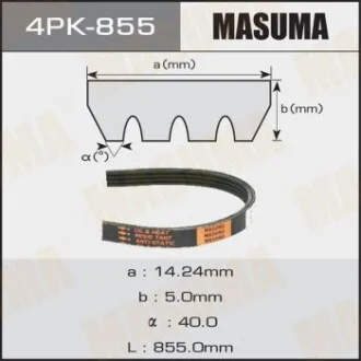 Ремінь поліклінової (4PK-855) для Audi, Peugeot, Skoda, Volkswagen, Fiat MASUMA 4PK855 фото товару