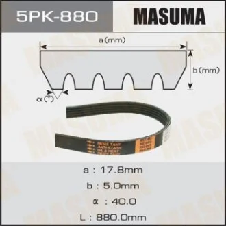 Ремінь поліклінової (5PK-880) для MASUMA 5PK880 фото товару