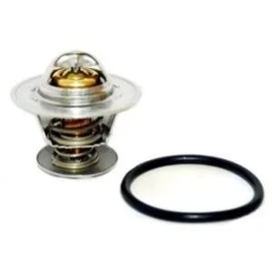 <strong>MEATDORIA OPEL термостат Omega A,Frontera A 2.3TD/2.4/2.6/3.0,Corsa,Chevrolet MEAT&DORIA 92194 (фото 1)</strong>