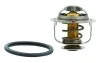 <strong>MEATDORIA NISSAN термостат Primera,X-trail,Renault Koleos MEAT&DORIA 92525 (фото 1)</strong>