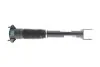 <strong>Амортизатор MERCEDES-BENZ 1663202030 (фото 1)</strong>