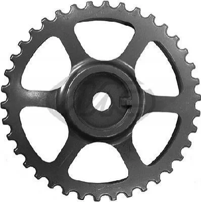 <strong>Шестерня колінвалу Renault Clio, kangoo, Megane 1.4, 1.6 (97-) Metalcaucho METALCAUCHO 06170 (фото 1)</strong>