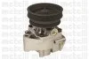 <strong>Водяний насос METELLI 24-0629 (фото 1)</strong>