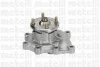 <strong>Водяний насос METELLI 24-1022 (фото 1)</strong>