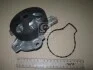 <strong>Водяний насос METELLI 24-1134 (фото 2)</strong>