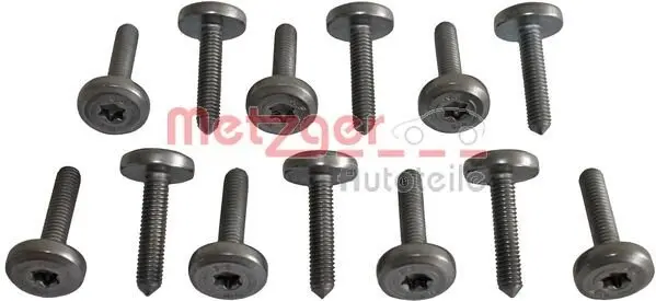 <strong>Набір гвинтів з внутр. шестигранником METZGER 8029025 (фото 1)</strong>