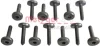 <strong>Набір гвинтів з внутр. шестигранником METZGER 8029025 (фото 1)</strong>