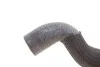 <strong>Патрубок системи охолодження MEYLE 019 222 0020 (фото 2)</strong>
