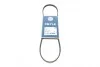 <strong>Пас поліклиновий 3 PK 850 MEYLE 050 003 0850 (фото 1)</strong>