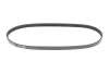<strong>Ремінь 4PK790 MEYLE 050 004 0790 (фото 1)</strong>