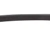<strong>Пас поліклиновий 5 PK 835 MEYLE 050 005 0835 (фото 3)</strong>