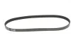 <strong>Пас поліклиновий 5 PK 875 MEYLE 050 005 0875 (фото 1)</strong>