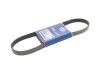 <strong>Пас поліклиновий 6 PK 925 MEYLE 050 006 0925 (фото 1)</strong>