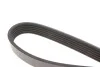 <strong>Пас поліклиновий 6 PK 1080 MEYLE 050 006 1080 (фото 3)</strong>