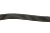 <strong>Пас поліклиновий 6 PK 2225 MEYLE 0500062225 (фото 2)</strong>