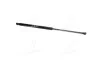 <strong>Амортизатор багажника NISSAN (вир-во) MEYLE 36-40 910 0031 (фото 3)</strong>