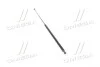 <strong>Амортизатор багажника MONROE ML5128 (фото 1)</strong>