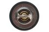 <strong>Термостат Ford Escort IV, V, VI/Fiesta III, IV/KA 1.1/1.3i 89-08 (92 C) (jiggle-pin) MOTORAD 200-92JK (фото 3)</strong>