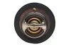 <strong>Термостат Chevrolet Aveo/Mtsubishi Lancer/Suzuki Swift 1.0-1.6i 79- (88 C) MOTORAD 239-88K (фото 4)</strong>