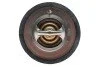 <strong>Термостат системи охолодження (91°C) FORD B-MAX, C-MAX II, ECOSPORT, FIESTA VI, FIESTA VII, FOCUS I, FOCUS III, FOCUS III/HATCHBACK, FOCUS III/KOMBI, GRAND C-MAX, MONDEO V 1.0-2.3 11.95- MOTORAD 363-91K (фото 4)</strong>