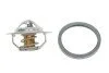<strong>Термостат Ducato/Jumper/Boxer 1.9TD 94-02 (82 C) MOTORAD 646-82K (фото 1)</strong>