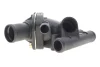 <strong>Термостат 89з Kangoo/Megane/Clio 1.9DTI 97> MOTORAD 697-89K (фото 4)</strong>