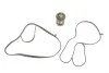 <strong>Термостат Caddy/Golf/Fabia 1.2/1.4 TSI 12- (105C) MOTORAD 973-105K (фото 1)</strong>