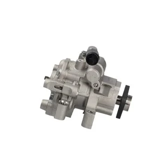Насос ГУР новий Ford Transit 06-14, Fiat Ducato 06-14, Peugeot Boxer 06-14 для Ford, Peugeot, Citroen, Fiat MSG FI 011 фото товару