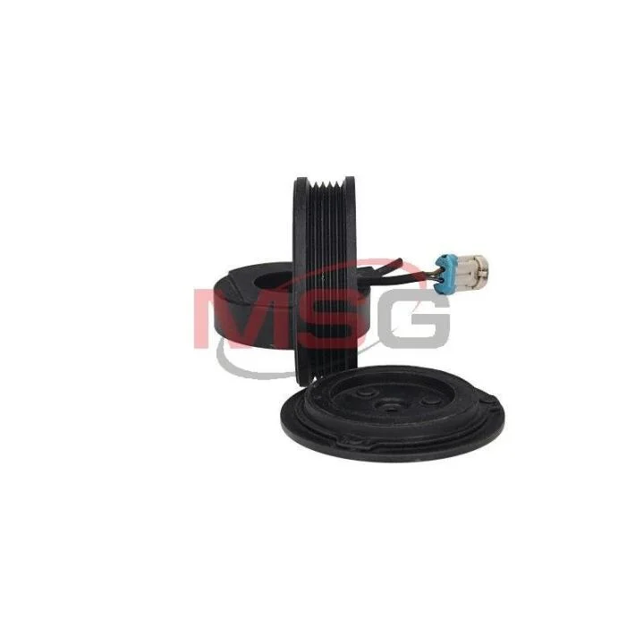 <strong>Комплект шківа компресора кондиціонера SANDEN SD6V12 MSG KP-1066 (фото 1)</strong>