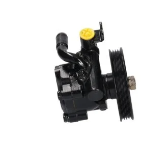 Насос ГУР новий Renault Vel Satis 02-09, Nissan Maxima A32 94-00, Nissan Maxima A33 00-06 для Nissan, Mazda MSG NI001 фото товара