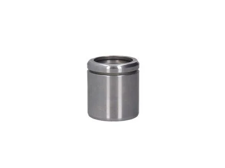 Поршеньок гальм. перед. 54x58,5 Audi A1/A3 / Scoda Fabia, Octavia / VW Caddy III, Golf V, VI, Passat для Skoda, Volkswagen, Audi, Ford, Seat MSG P545801-MSG фото товару