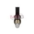 <strong>Електроклапан компресора кондиціонера DENSO 5SEL12C MSG VA-1064 (фото 4)</strong>