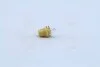 <strong>Лампа розжарювання 12v 1,5w Bx8,5d YELLOW (вир-во Narva) NARVA 17050CP (фото 3)</strong>