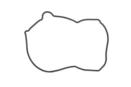 Прокладка кришки грм для NISSAN 13520AD201 фото товару