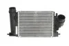 <strong>Інтеркулер NISSENS 96207 (фото 1)</strong>