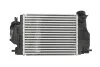 <strong>Інтеркулер NISSENS 96207 (фото 2)</strong>
