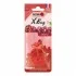 <strong>Автомобільний ароматизатор повітря полімерний X Bag- Cherry NOWAX NX07555 (фото 1)</strong>