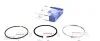 <strong>Кільця поршневі STD Citroen Jumper / Fiat Ducato / Peugeot Boxer 3.0 HDI/MJET 06- NPR 120 020 0007 00 (фото 1)</strong>