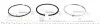 <strong>Кільця поршневі STD Citroen Jumper / Fiat Ducato / Peugeot Boxer 3.0 HDI/MJET 06- NPR 120 020 0007 00 (фото 2)</strong>