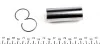 <strong>Поршень Sprinter ОМ602DE (89mm-STD) NPR 130 010 0008 00 (фото 2)</strong>