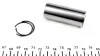 <strong>Поршень Renault Kangoo 1.5 dCi 01- (76.5 mm)(⌀ пальця 25 мм) (+0.50) NPR 130 038 0026 21 (фото 2)</strong>