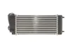 <strong>Інтеркулер NRF 30860 (фото 5)</strong>