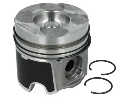 Поршень з кільцями RENAULT 89.5 G9U TRAPEZ (вир-во) для NURAL 87-137507-10 фото товару