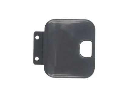 Сходинка кабіни для PACOL MANSP013 фото товару