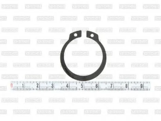 <strong>Запобіжне кільце PASCAL CIRG7W02PC (фото 1)</strong>