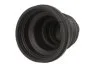 <strong>Комплект пильовиків гумових PASCAL G6X003PC (фото 2)</strong>